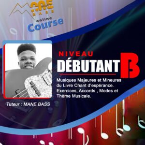 Debutant B